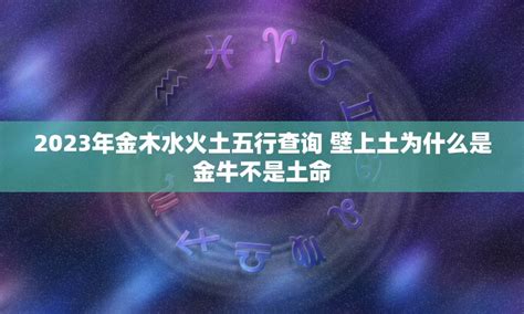 2024年金木水火土|2024年甲辰年五行属什么？解析甲辰年金木水火土属性